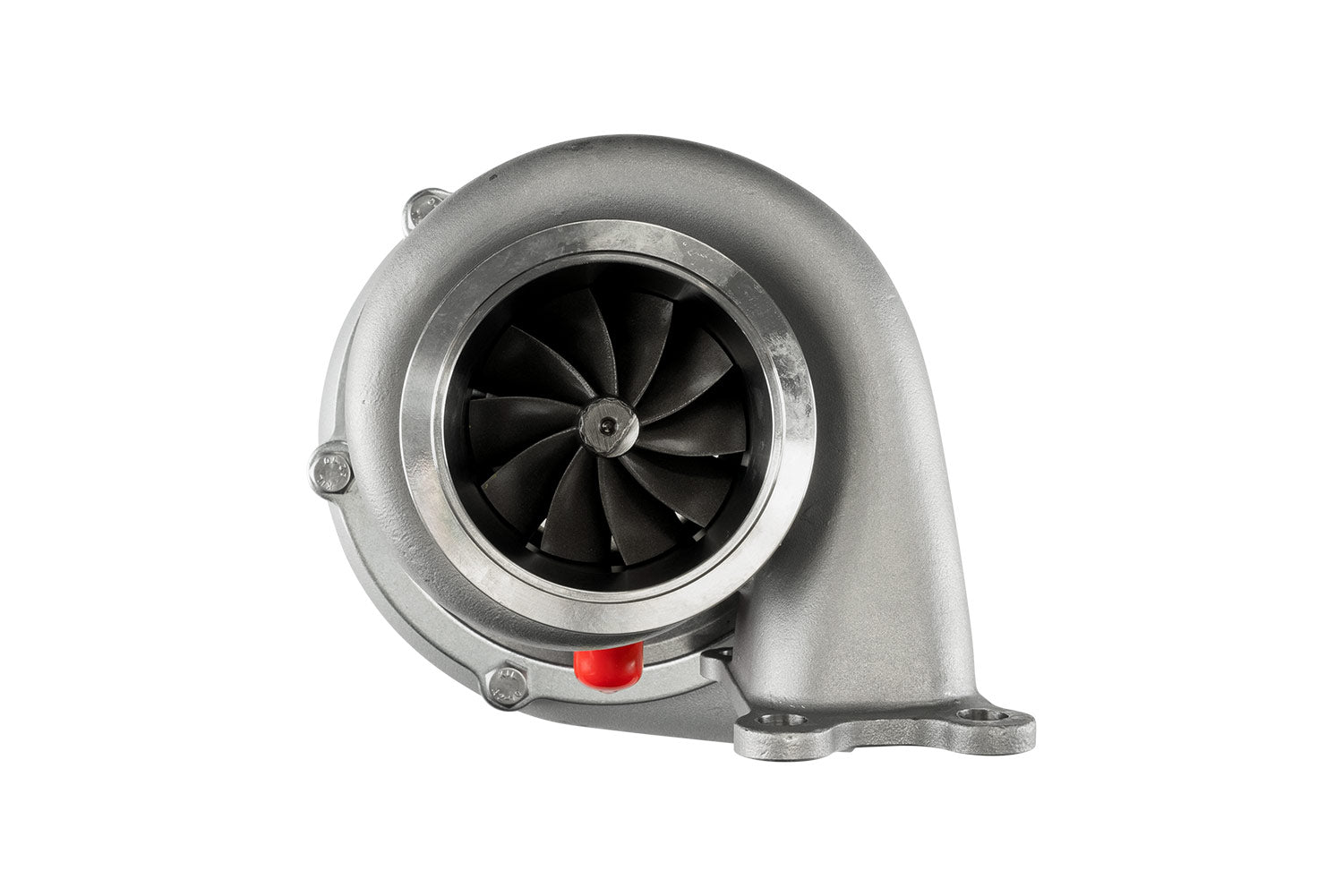 TS-1-6466B-T3082E Back
